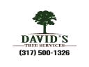 David's Tree Services logo